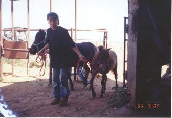 Chance bringing in the ponies for riding.