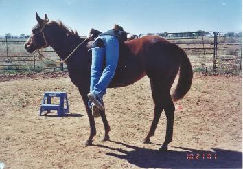I'm sure Ashlea is not too proud of my camera angle as she gets on Lil.