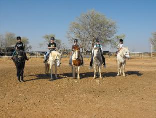 horses from left to right - Drafty,Teefa,Shorty,Target,Jody. Jody has since passed away.