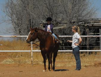 the horse is Lil