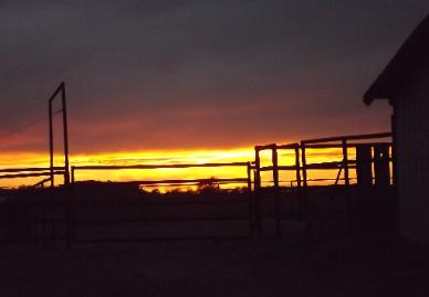 Guess which fence.
