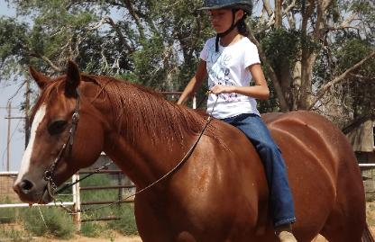 the horse is Lil