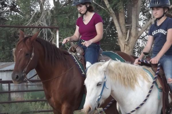 the horses are Newbie and Target