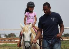 the horse is Teefa