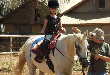 the horse is Teefa