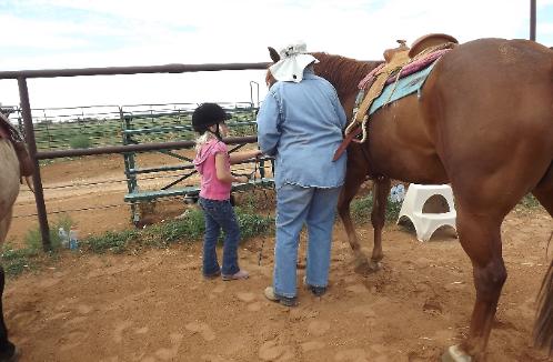 the horse is Lil