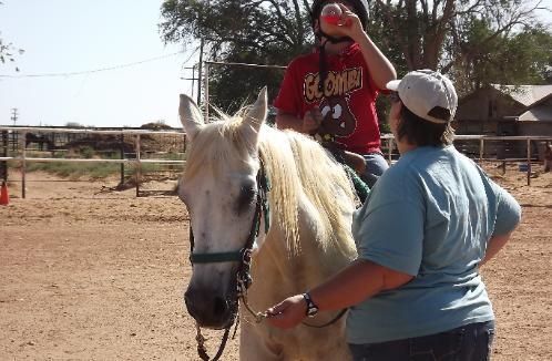 the horse is Teefa
