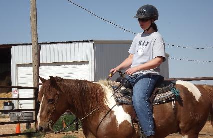the horse is Butch