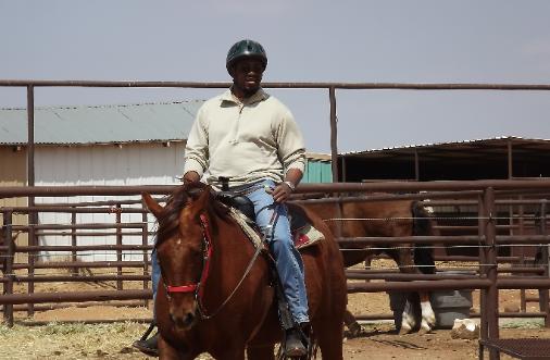 the horse is Newbie