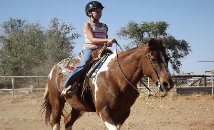 the horse is Butch