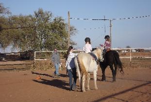 the horses are Teefa and Drafty