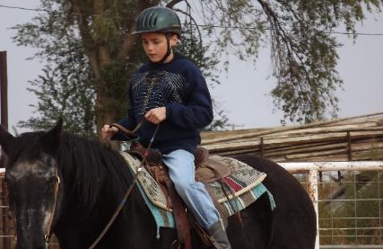 the horse is Drafty