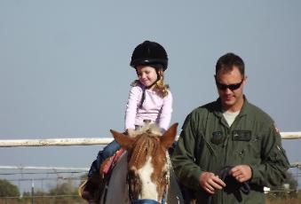 the horse is Shorty