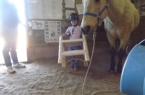 the horse is Sadie