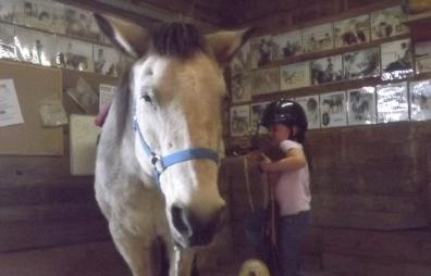 the horse is Sadie