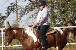 the horse is Butch
