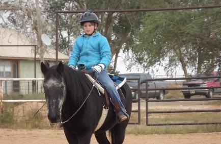 the horse is Drafty