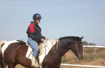 the horse is Shag