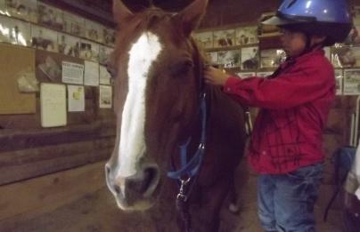 the horse is Lil