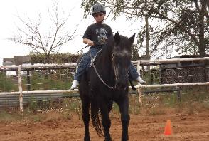 the horse is Drafty
