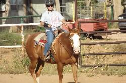 the horse is Goober