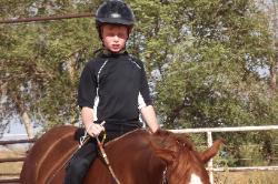 the horse is Lil
