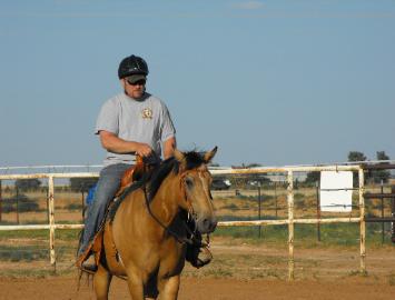 Working on some exercises to make the horse a better pleasure ride.