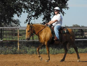 Just wants the horse to be a better pleasure ride.
