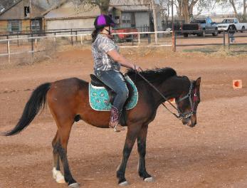 Working out the bugs in a horse that is new to her.