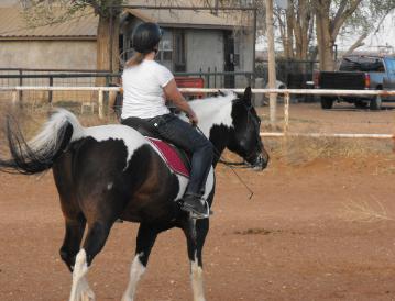 She came so she would have a reason to ride and maybe learn some new things to do with her horse.