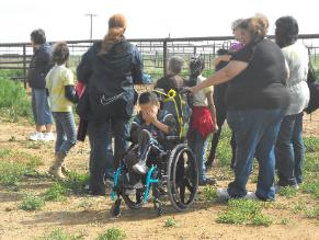 Field trip that included a visit to ponies. This was when we found out a wheelchair could access the entire tour.