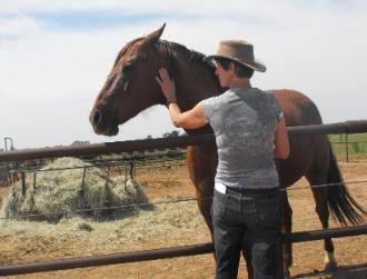 Newbie enjoying a visitor. You may go and visit horses while waiting.