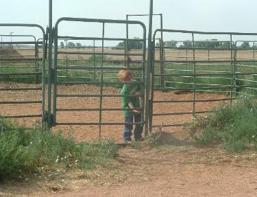 We 'corral' the kids.
