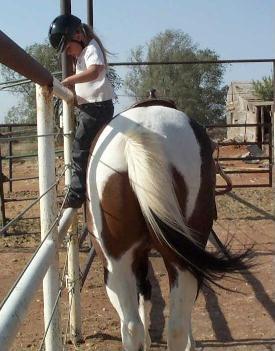 the horse is Shag
