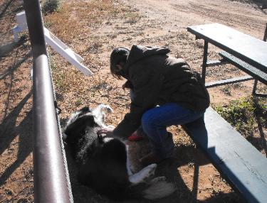 Noki helps a 'bench sitter' pass the time.