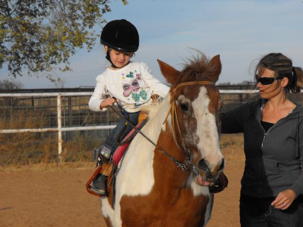 the horse is Shorty